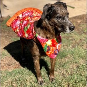Dog Pizza Costume size XL